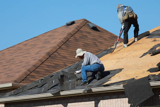 Best Gutter Installation and Repair  in North Valley, NM